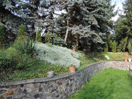 Naturgarten