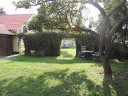 Naturgarten mit alten Bäumen