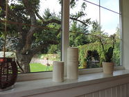 Blick in den Garten