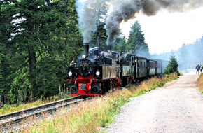 Harzer Schmalspurbahnen - mit Volldampf durch den Harz