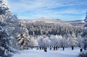 Rodelpiste mit Brockenblick