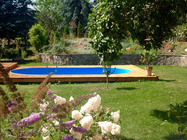 Swimmingpool im Garten