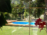Swimmingpool im Garten